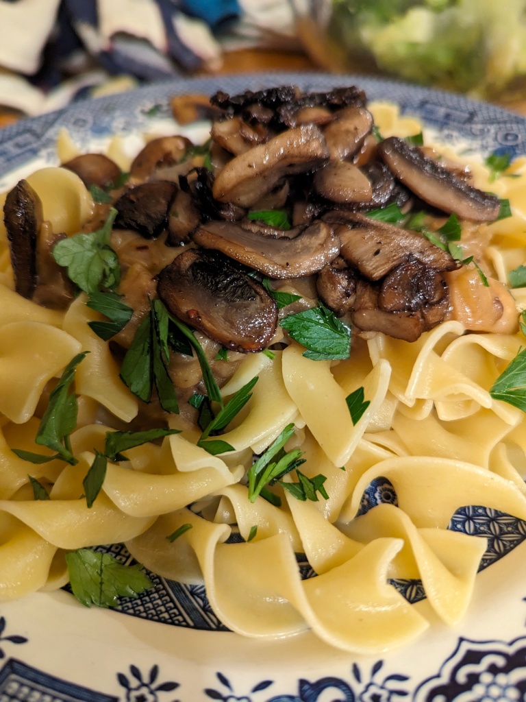 Connor's Mushroom Stroganoff plated and looking delicious!